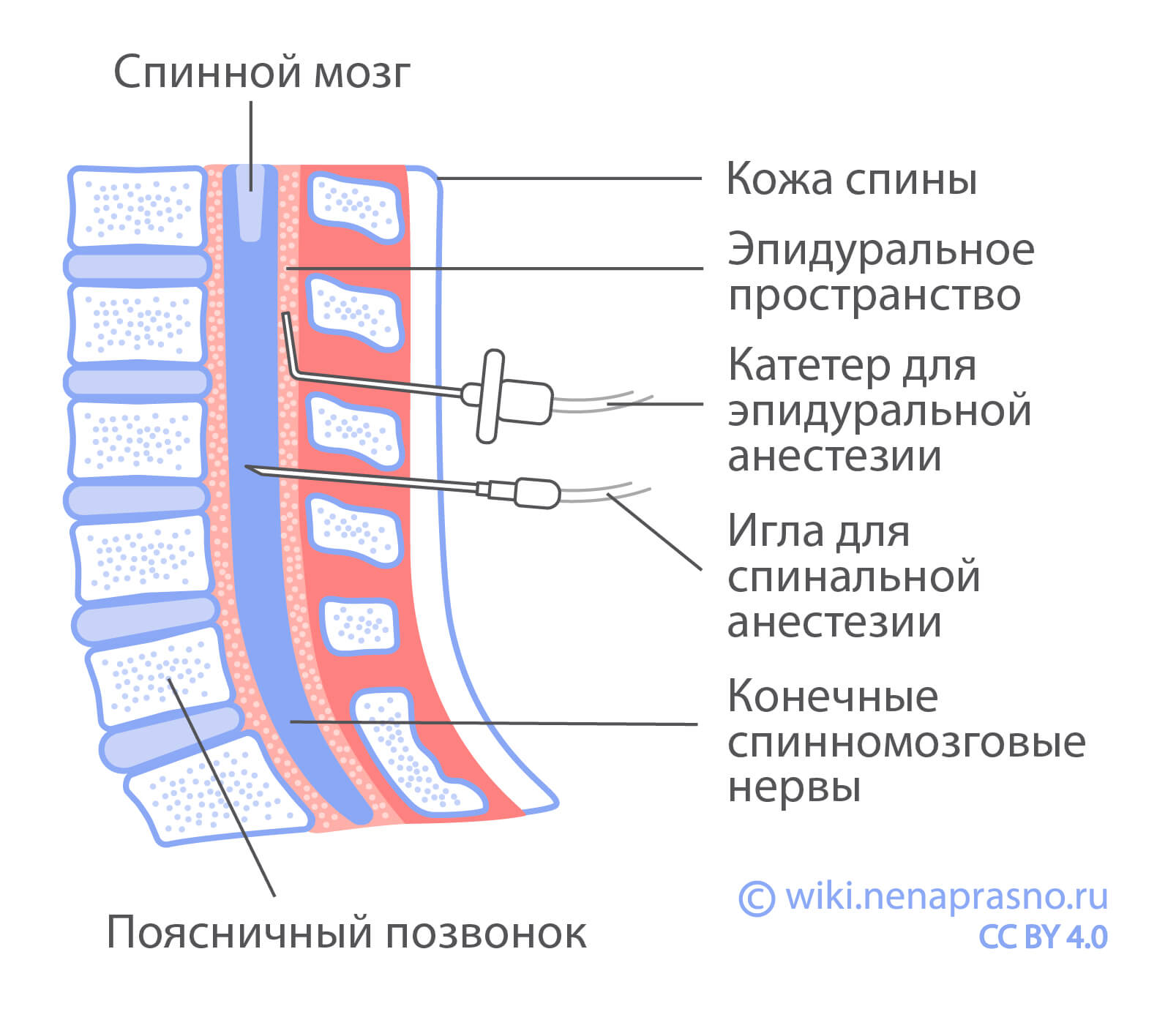 Как проводится хирургическое лечение?