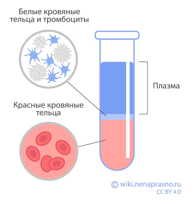 Исследования крови, как метод обнаружения онкологических заболеваний