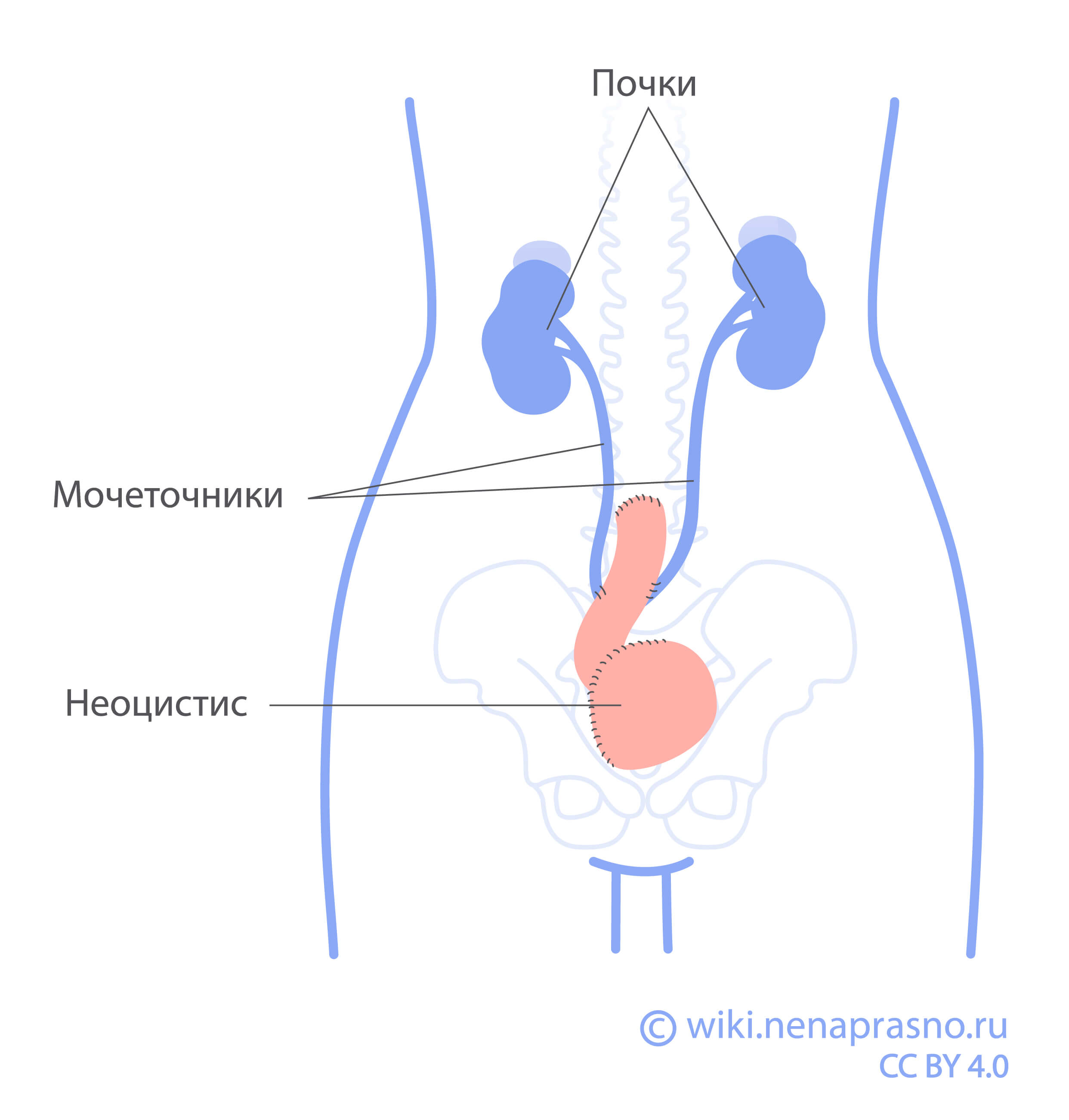 Сказка о потерянном времени · Краткое содержание сказки Шварца