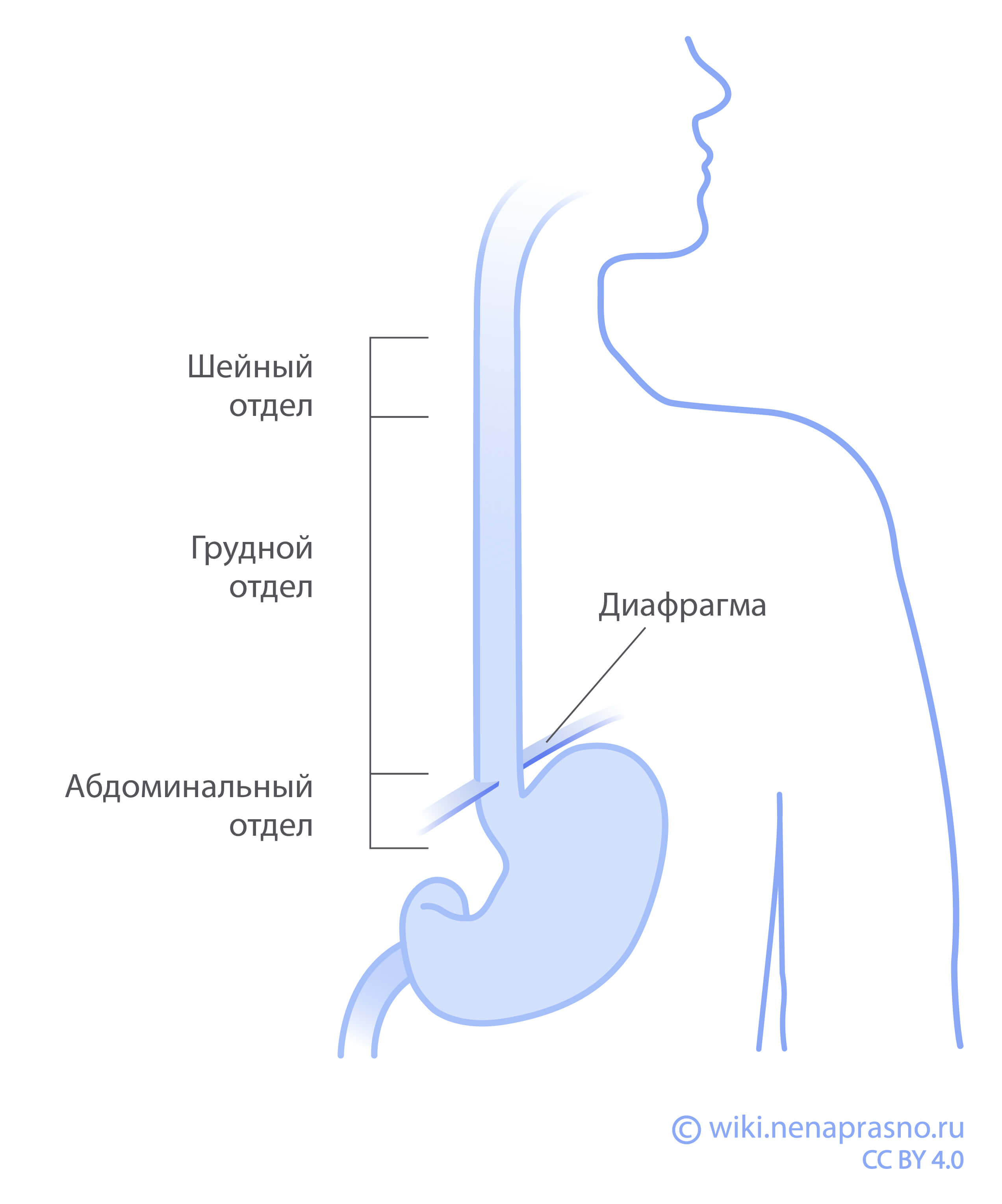 Нигилизм — Википедия