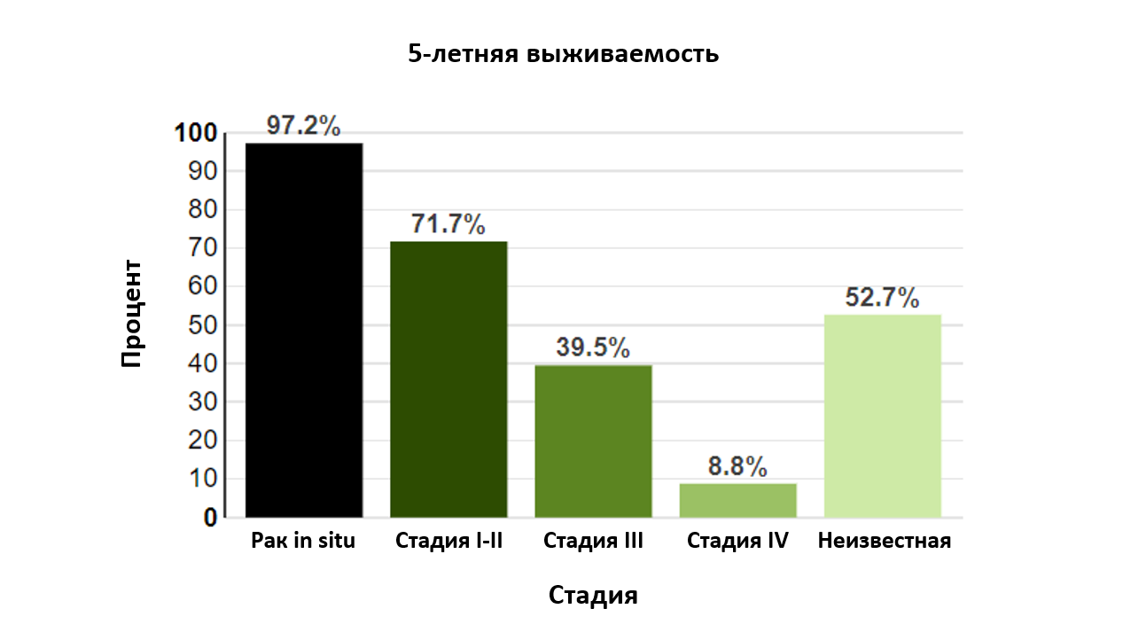 РМП_выживаемость.png