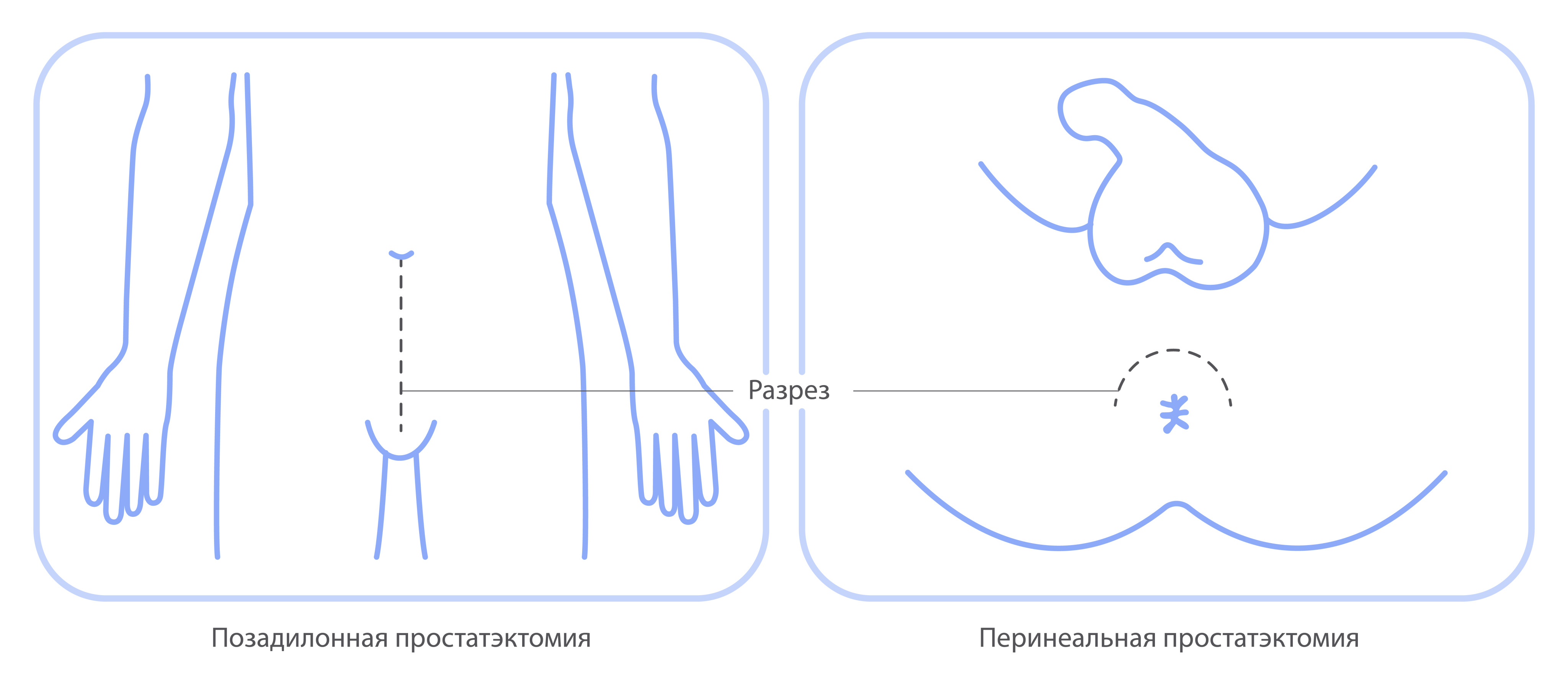 Вы точно человек?