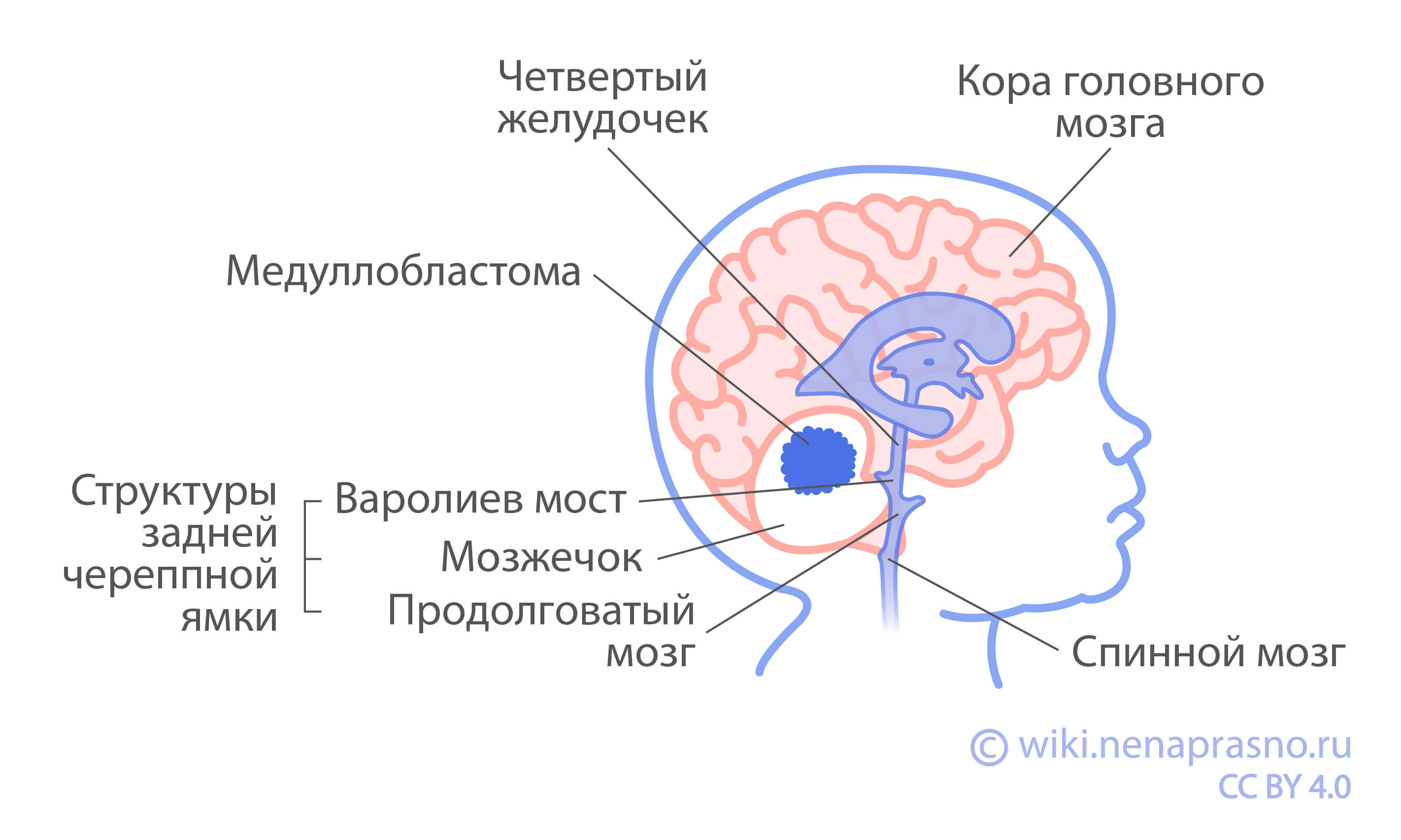 Рыбак из Нижневартовска нашел в реке тело голого мужчины