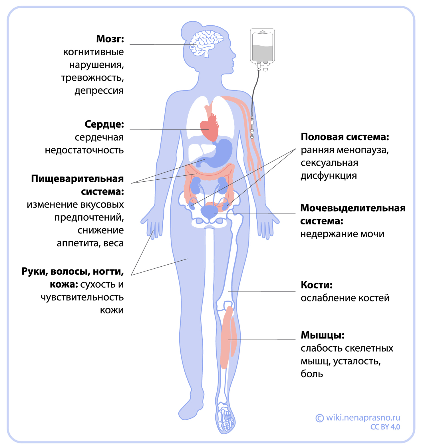 Каково толкование сна о том, чтобы нести покойника во сне по Ибн Сирину? - Толкование снов онлайн