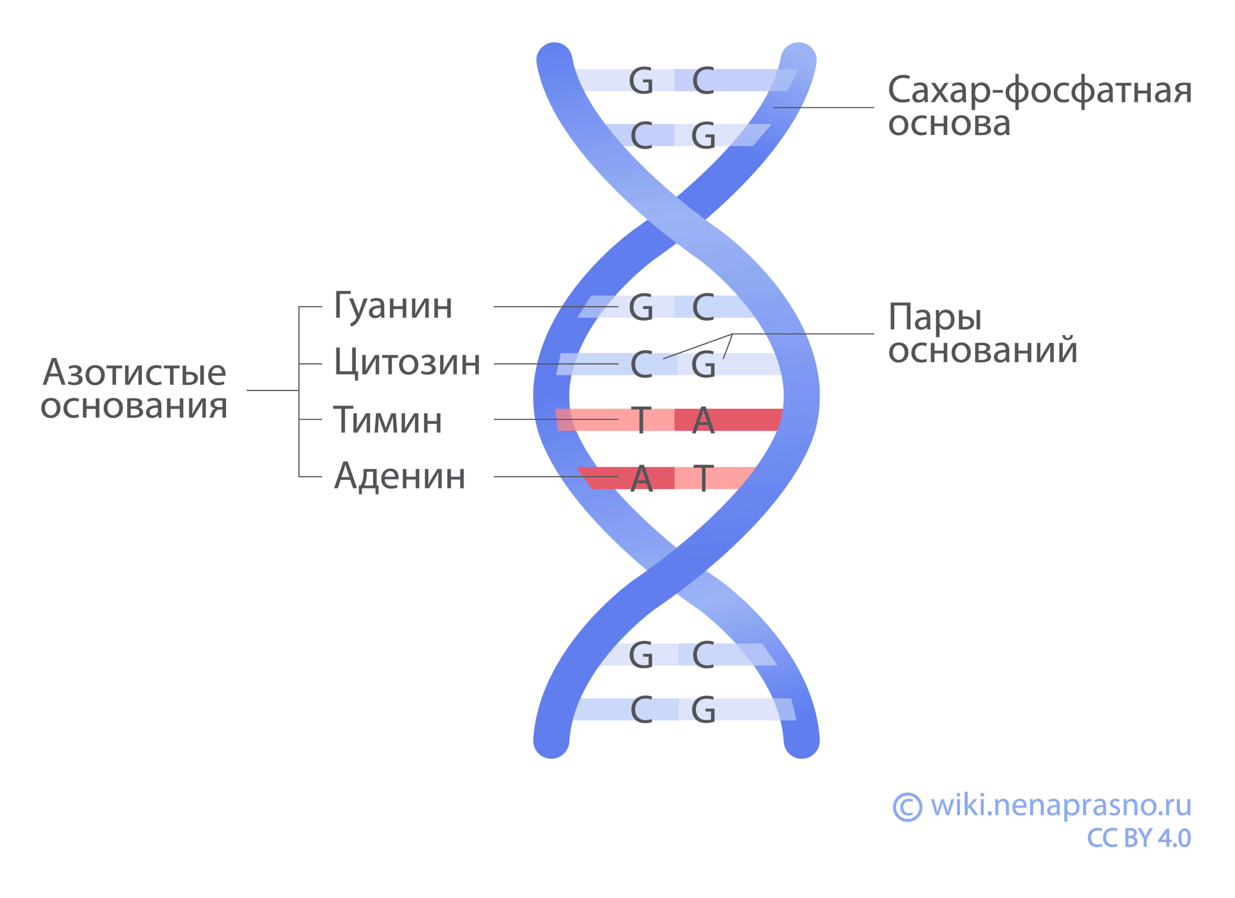 Сочинение: Почему человек, который понапрасну теряет время, сам не замечает, как стареет?